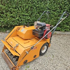 sisis for sale sisis for sale BARNSLEY