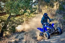 Yamaha raptor 700 usato  Sorbolo Mezzani