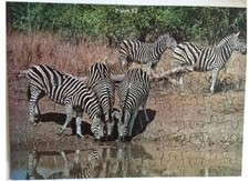 Puzzles afrika elefant gebraucht kaufen  Leinfelden-Echterdingen