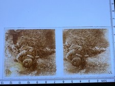 Plaque verre stereoscopique d'occasion  France