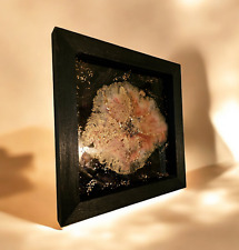 Fluid resin art gebraucht kaufen  Gardelegen