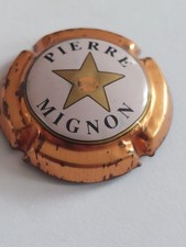 Capsule champagne pierre usato  Spedire a Italy