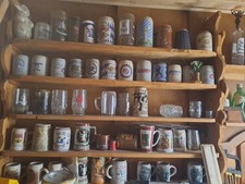 Bierkrugsammlung gebraucht kaufen  Bornheim