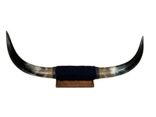 Vintage bull steer for sale  Croydon