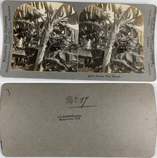 Hawaii banana vintage d'occasion  Expédié en Belgium