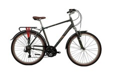 Raleigh pioneer trail for sale  WICKFORD