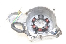 Stator panthera panthera d'occasion  Saint-Quentin