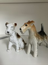 wire fox terrier for sale wire fox terrier for sale BIRMINGHAM