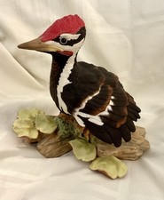 Vintage burgues pileated for sale  The Villages