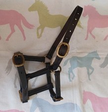 Miniature pony leather for sale  SWADLINCOTE