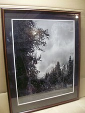 Ansel adams yosemite for sale  Dalton