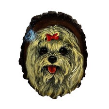 biewer yorkie terrier for sale biewer yorkie terrier for sale Tucson