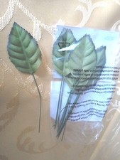 Rosenblätter grün neu gebraucht kaufen  Passau