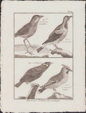 1790 buffon bonnaterre d'occasion  Expédié en Belgium