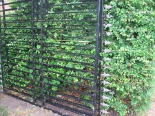 Wrought iron style for sale  HAYLING ISLAND