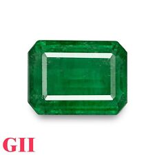 Octógono GRANDE solto esmeralda zâmbia com certificação GII 13,75 quilates verde grama natural comprar usado  Enviando para Brazil