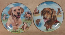 Lot bradford plates for sale  Atlanta