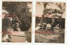 Old bee hives for sale  FAREHAM