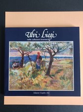 Ulvi liegi nelle usato  Villanova Marchesana