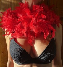 Boa piume rosso usato  Camaiore