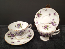 Rossetti spring violets for sale  Capron