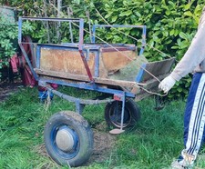 Project horse pony for sale  CLACTON-ON-SEA