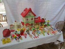1983 strawberry shortcake for sale  Carbondale