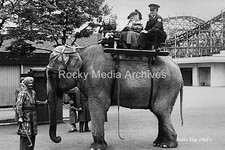 Elephant ride belle for sale  ROCHDALE