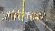 Small horseradish roots for sale  WISBECH