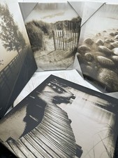 Black white canvas for sale  Winter Haven