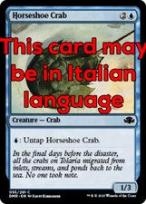 horseshoe crab usato  Bari