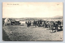 England cumberland. gypsy for sale  UK