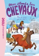 Amis chevaux ... d'occasion  Hennebont