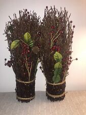 Birch twigs red for sale  Deltona