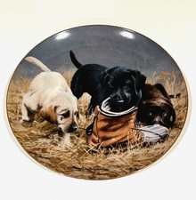 Franklin mint royal for sale  Benton