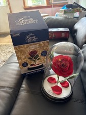 Beauty beast rose for sale  Hobart