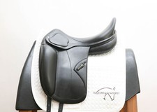 Used amerigo pasubio for sale  Sarasota