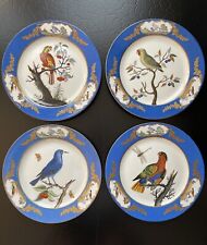 Gorgeous rare chelsea for sale  Southampton