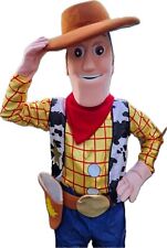 Hire woody toy for sale  DUDLEY