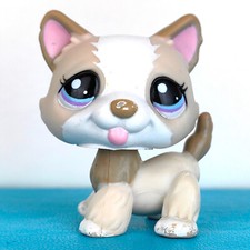 Authentic littlest pet d'occasion  Angers-