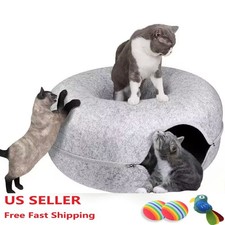 Extra large cat for sale  Ontario