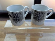 Royal worcester black for sale  ILKESTON
