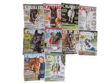 Cavallo 2021 jahrgang gebraucht kaufen  Springe