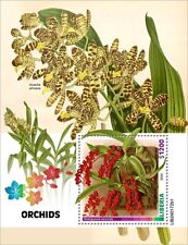 2025 liberia orchids d'occasion  Brunoy