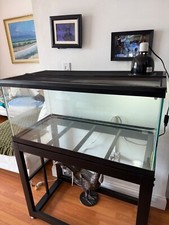 turtle tank for sale turtle tank for sale Miami