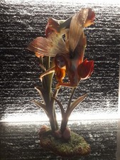 dragonsite gebraucht kaufen  Nürnberg