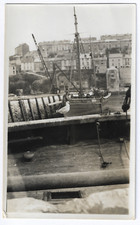 Seagull enjoying view for sale  REDCAR