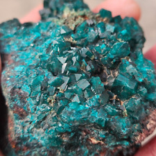 Dioptase crystals large for sale  WISHAW