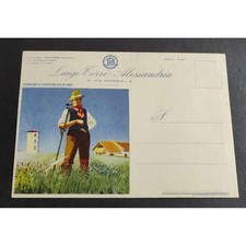 Cartolina luigi torri usato  Alessandria