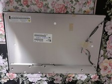 Pannello lcd 190wg1 usato  Partanna